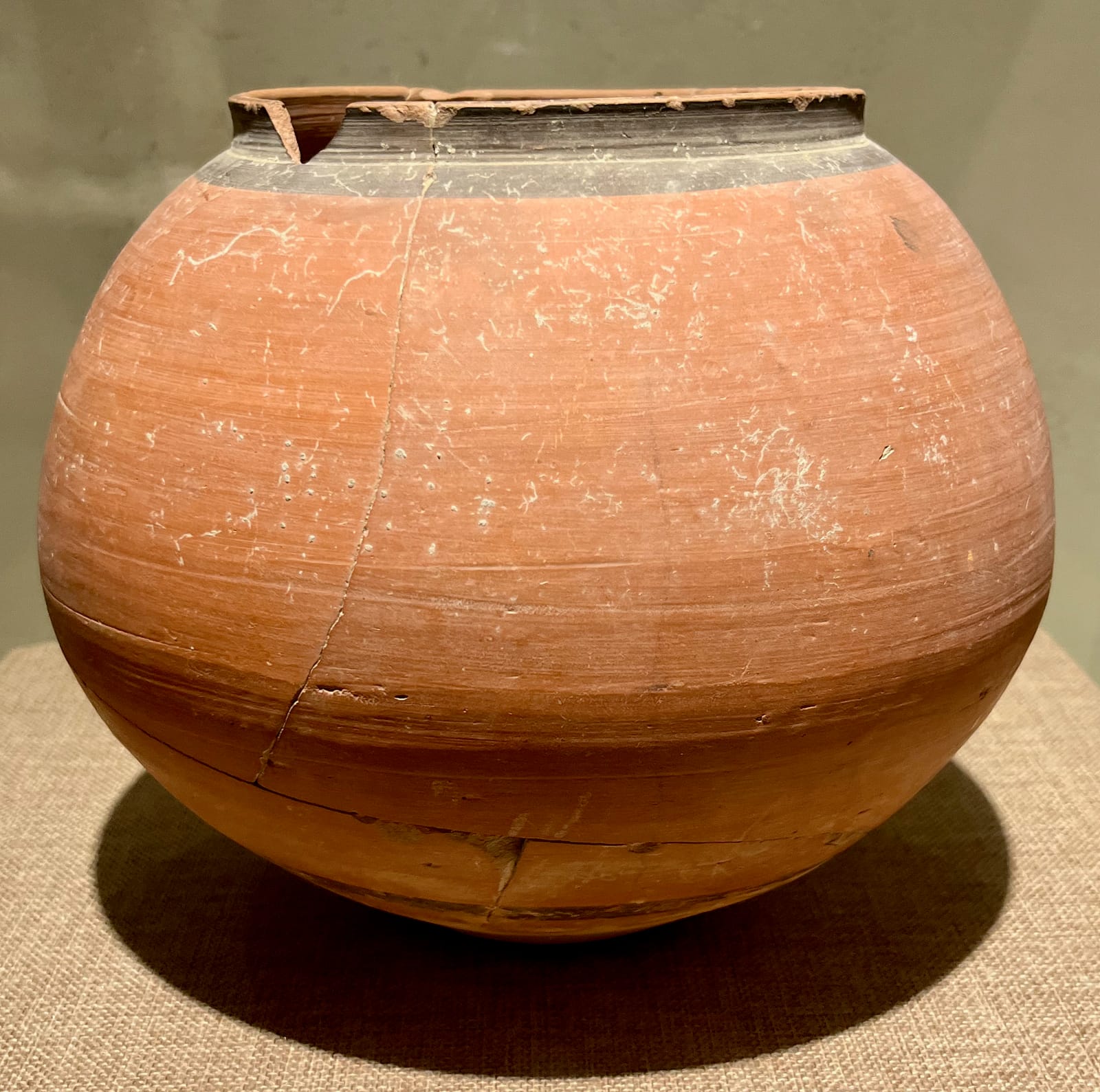 Pot